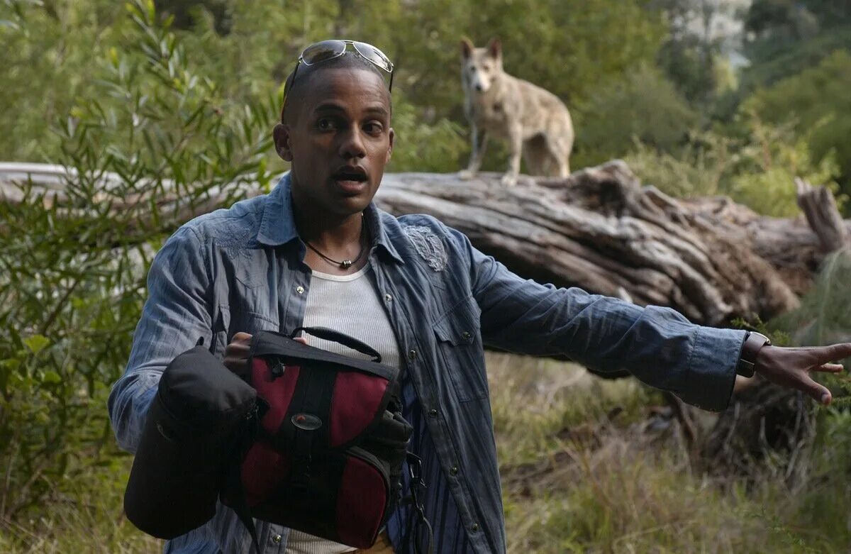 свора 2006 отзывы