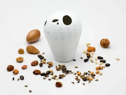 Safe seed