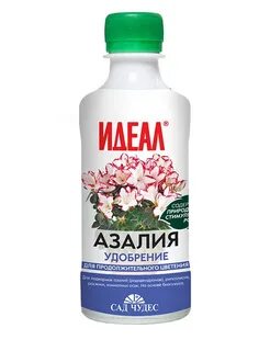 Идеал для цветов