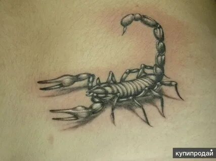 Скорпион с 18 декабря