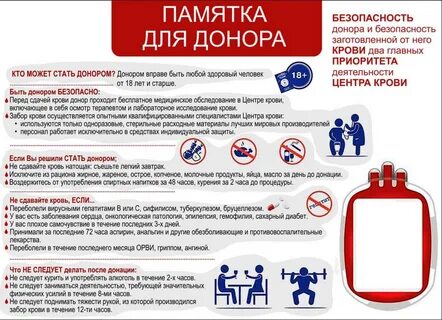 В какой период можно сдавать