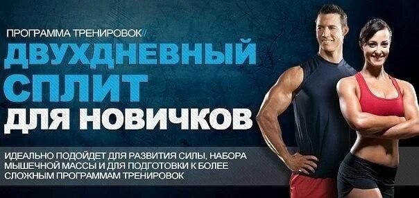 Сплит тренировка 2 2. Двухдневная программа тренировок. сплит тренировка. двухдневный сплит. двухдневный сплит программа тренировок.