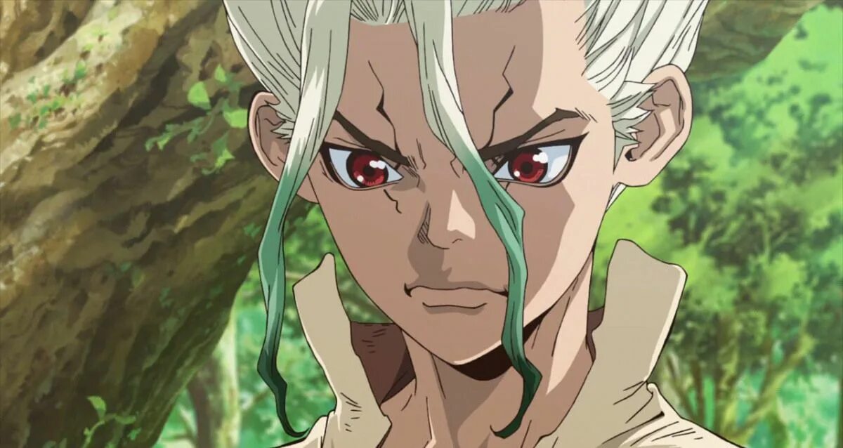 Dr stone 2019