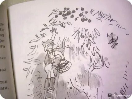 Иллюстрирована 34 рисунками словами