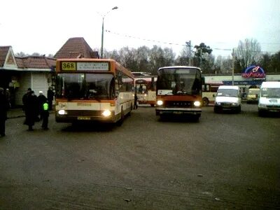 Долгопрудный метро автобусы