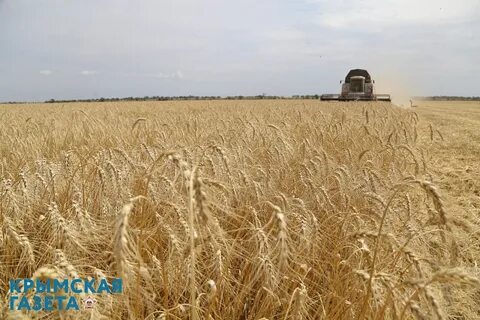 Уборка урожая в сентябре