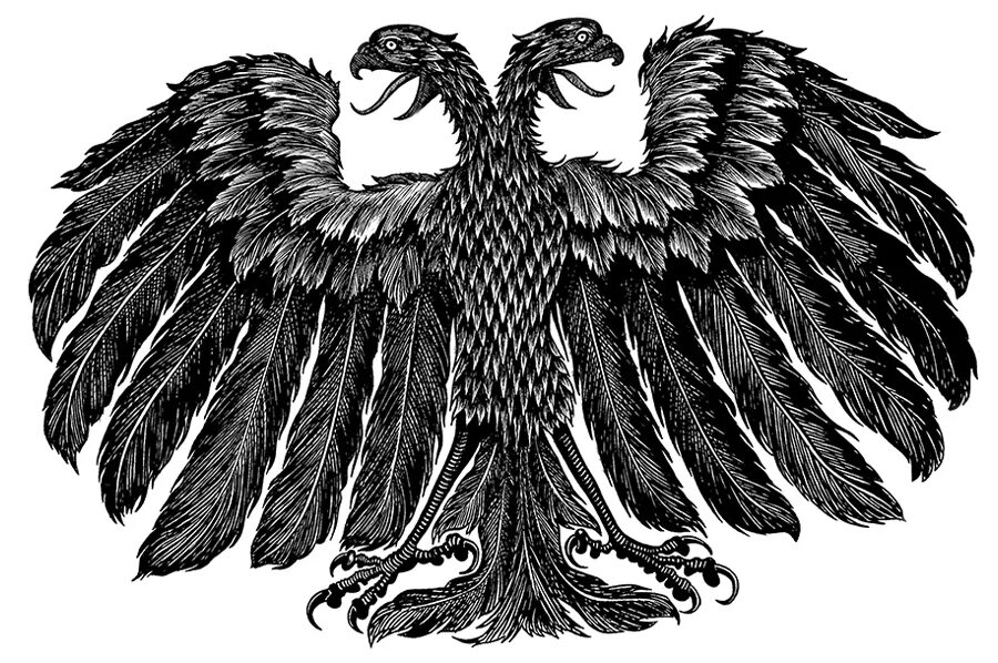 Герб россии рисунок. Черно белый флаг с двуглавым орлом. Герб россии 1917 год (временного правительства). Герб россии без геральдического щита. Герб рф.