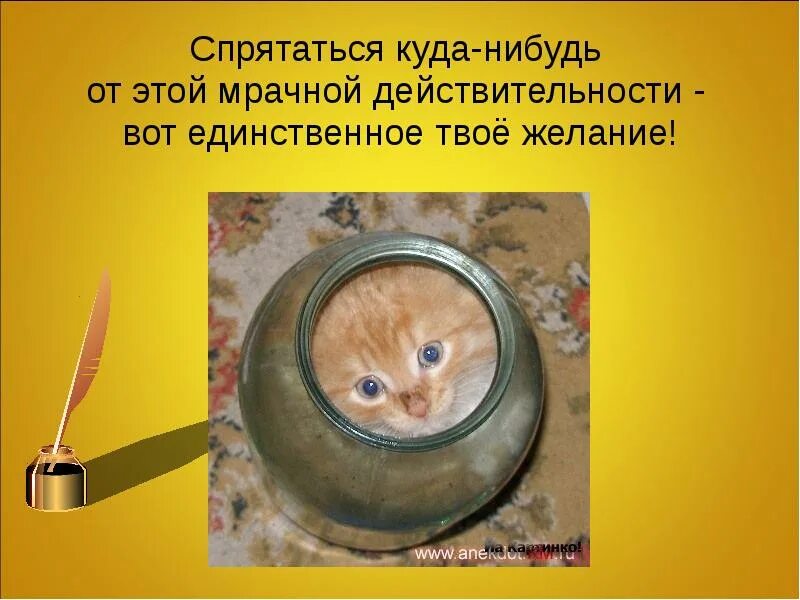 Откуда нибудь это. Куда спрятаться. куда бы спрятаться. спрятаться где нибудь. желание спрятаться.