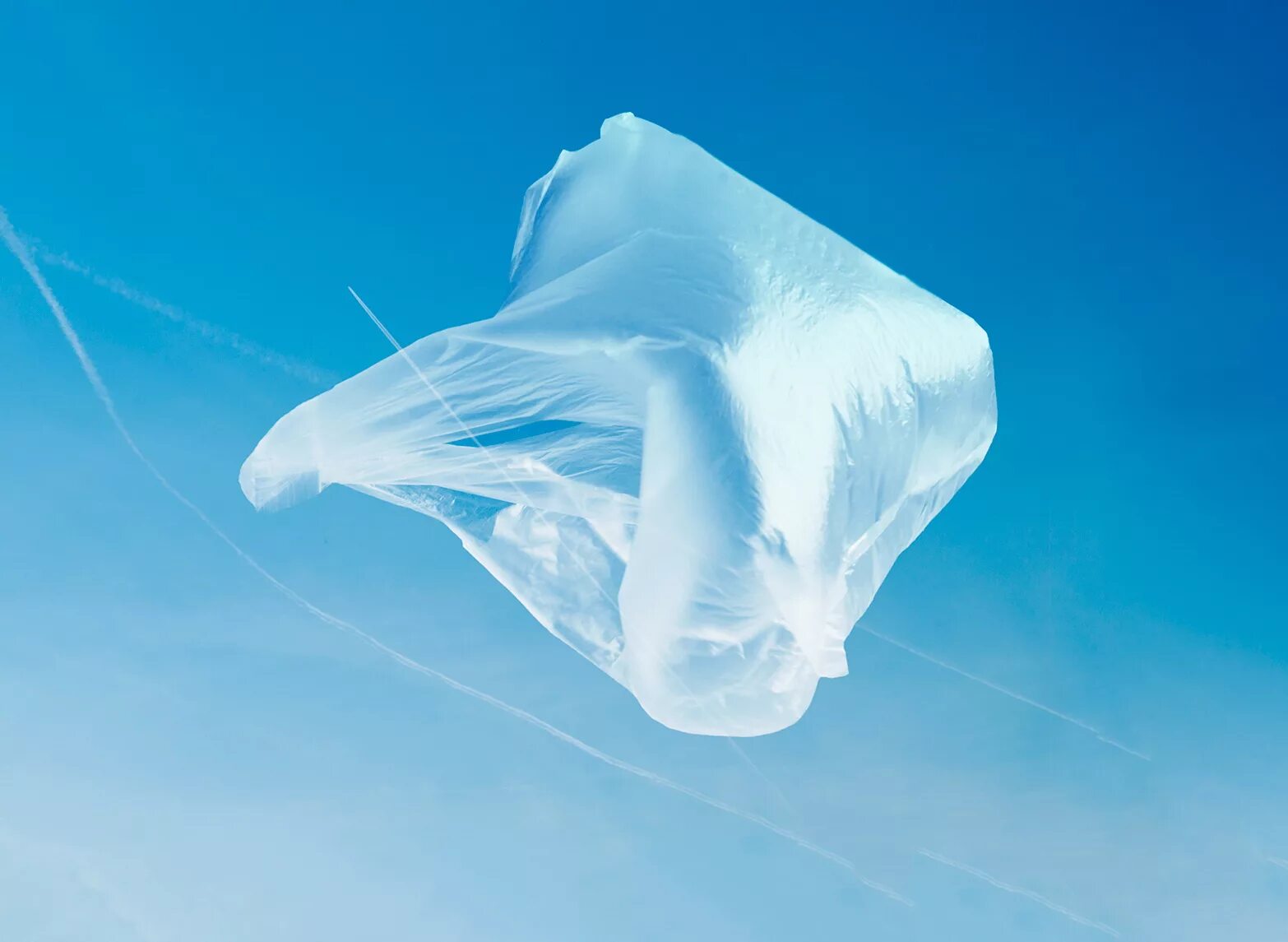 пакет под водой. пакет зип лок 120 мкм. целлофановый пакет наполненный. целлофановый пакет наполненный. целлофановый пакет наполненный.