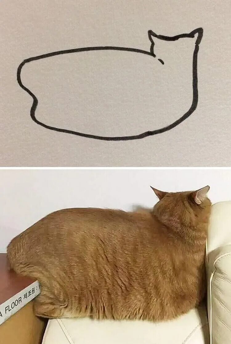 Скинь котенка. Неумело нарисованный кот. Кот умеет рисовать. Кошка умеет рисовать. Постепенные рисунки котиков.