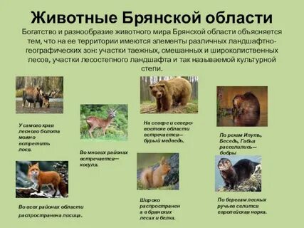 На территории имеется