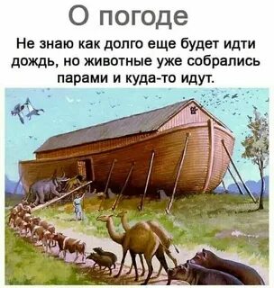 Сколько пар животных взял ной в ковчег