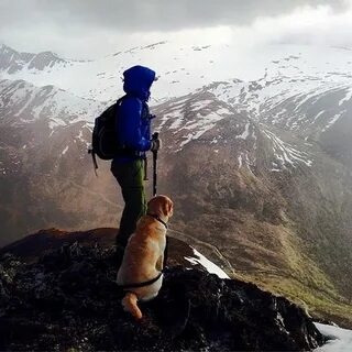Путешественник живет