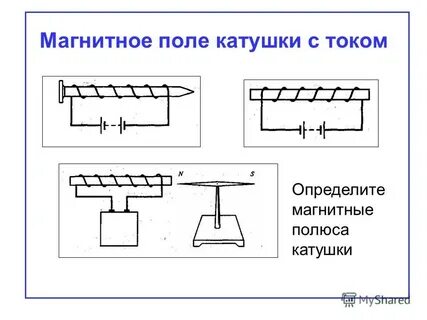 Линии магнитного поля катушки с током являются