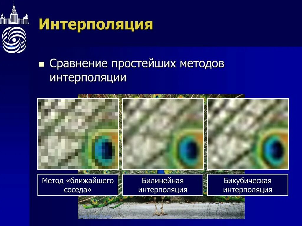 Без интерполяции. Интерполяция методом ближайшего соседа. интерполяция изображения. интерполяция цифрового изображения. метод интерполяции.