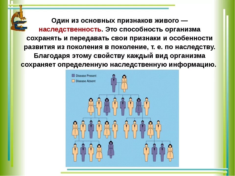 Наследование признаков у человека 9 класс презентация. Наследственные признаки. Наследование генетика. Наследственные признаки передаются. Передают наследственные признаки.