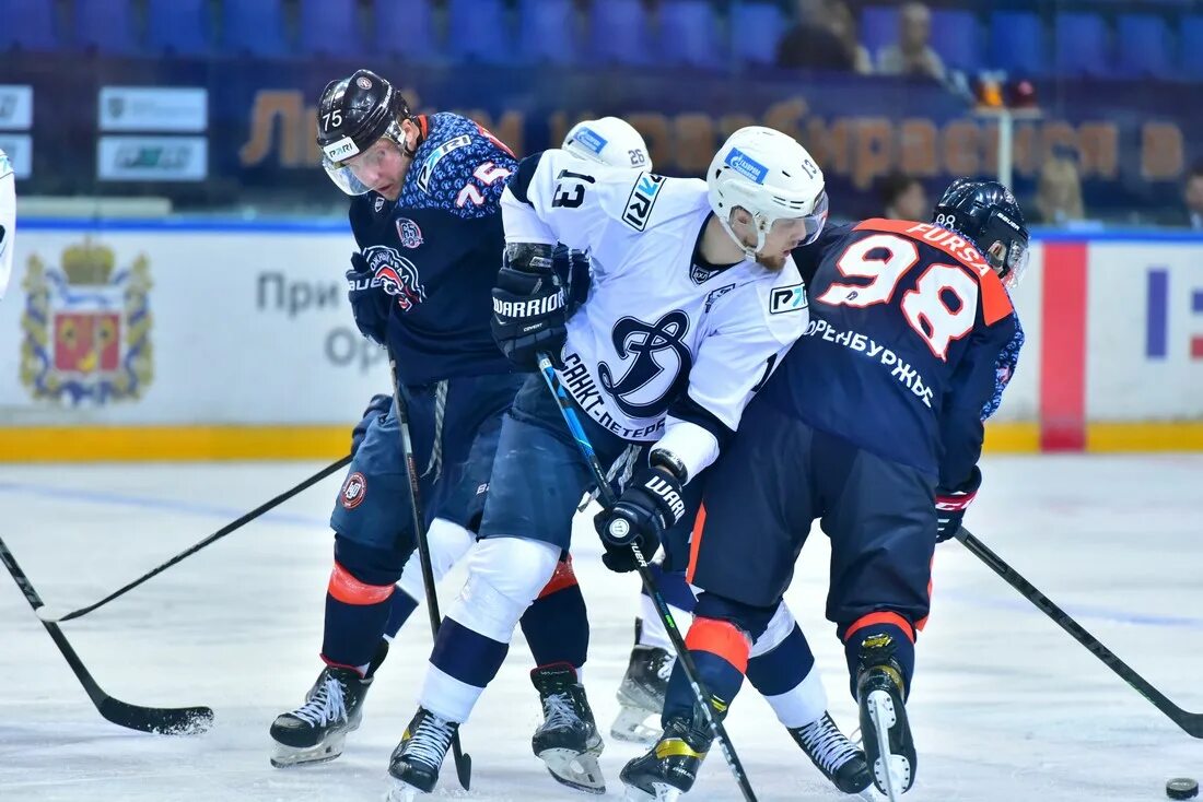 вхл динамо 10 номер. южный урал динамо спб. капитан динамо хоккей. вхл динамо 10 номер. хоккей динамо питерская.