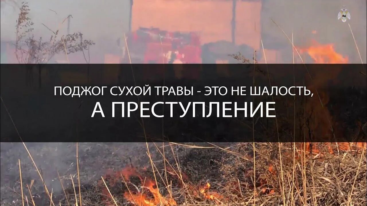 Штраф за поджог сухой травы. Поджог травы это не шалость это преступление. поджог травы не шалость. пал травы преступление. поджог сухой травы это преступление.