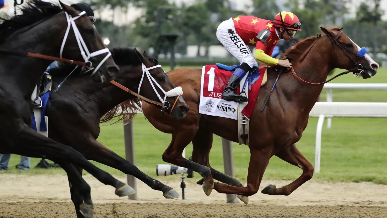 Crown run. Фото скачек. Crown run. Американское дерби. Crown ran.