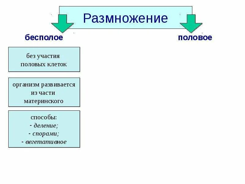 Каковы особенности бесполого размножения 6 класс