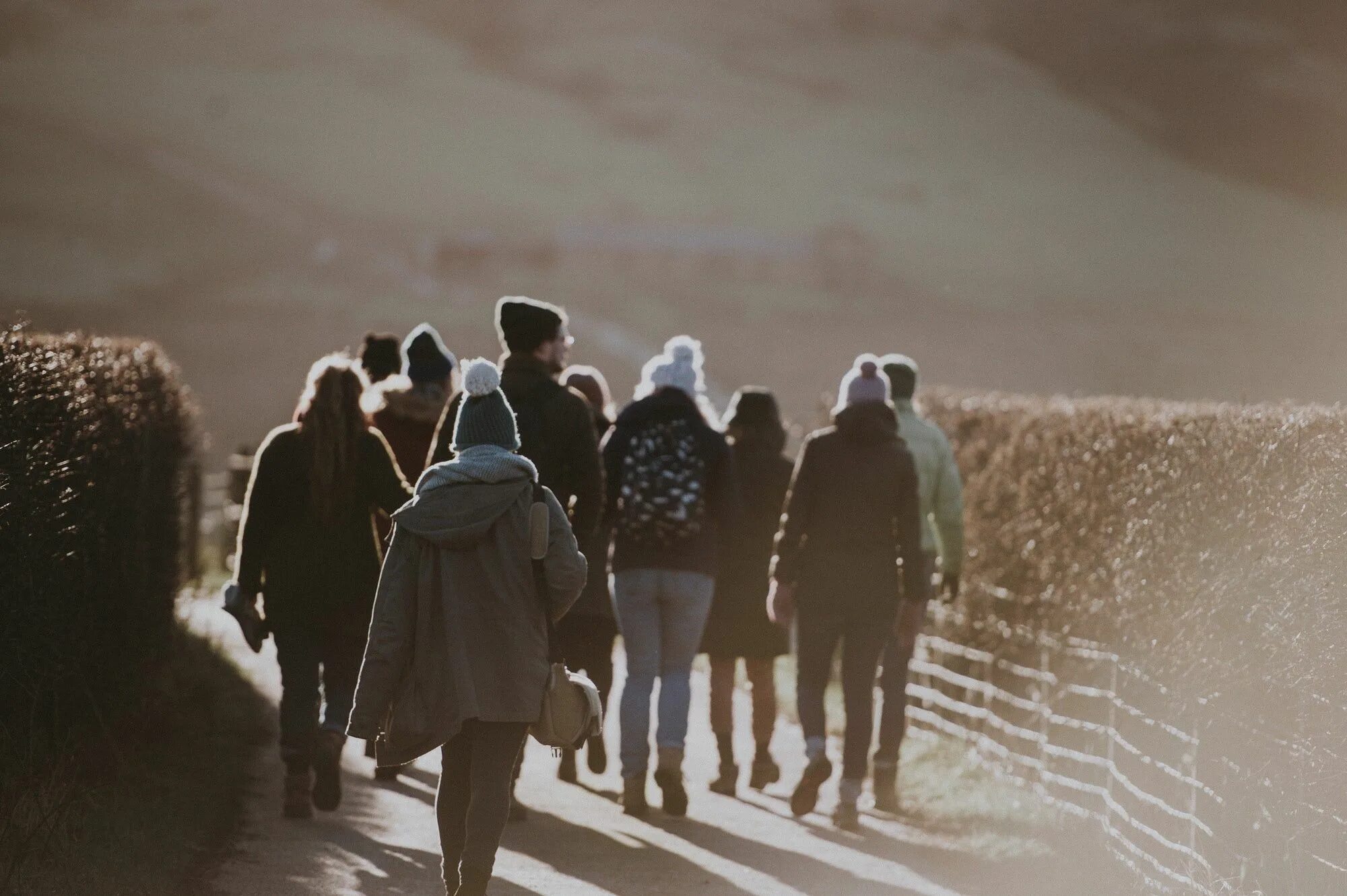 Belonging to a group. Belonging. photo by annie spratt on unsplash.