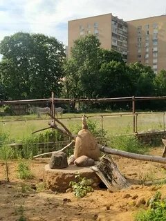 Зоопарк июль