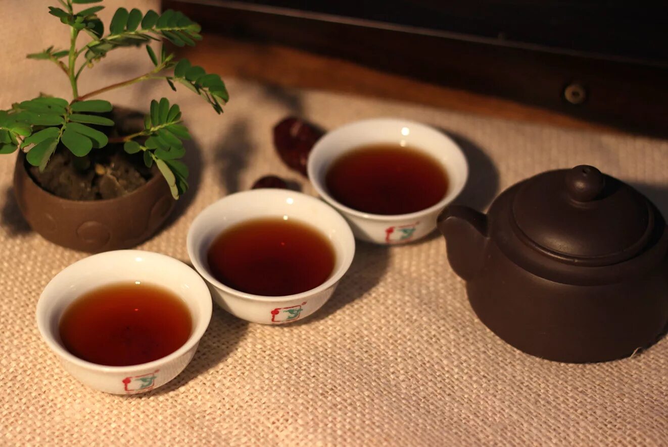 Вред китайского чая. Чай пуэр Шу. Китайский чай пуэр. Шу пуэр чай заваренный. Чай пуэр в чашке.
