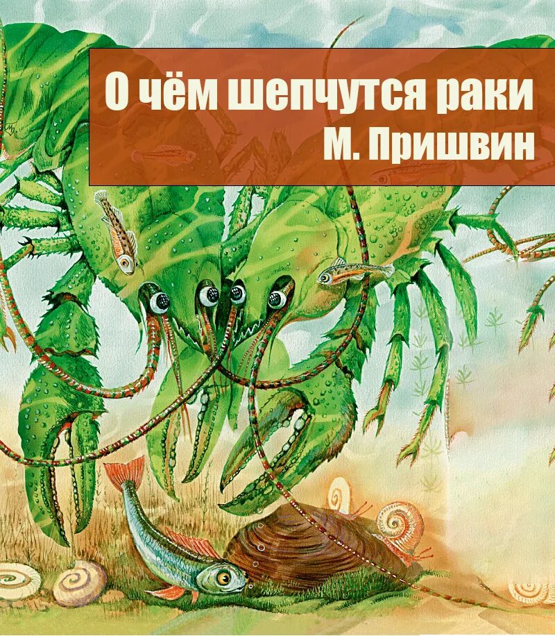 Рисунок пресного водоема. М. Рисунок. М. Рисунок.