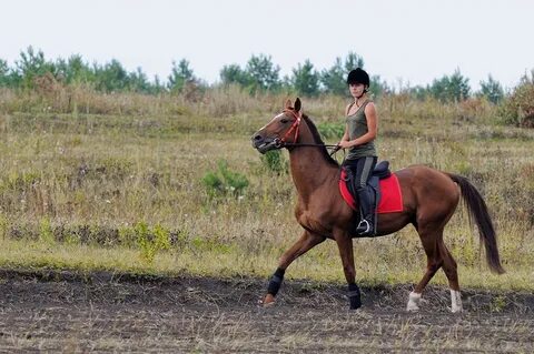 Погода в засечном пензенский