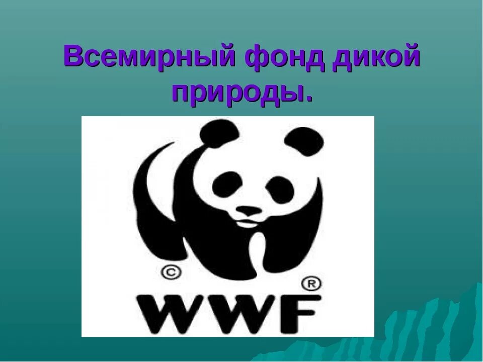 Всемирный фонд дикой природы международные организации. Символ Всемирного фонда дикой природы. Международные экологические организации в России ВВФ. Всемирный фонд дикой природы (ВВФ) эмблема.