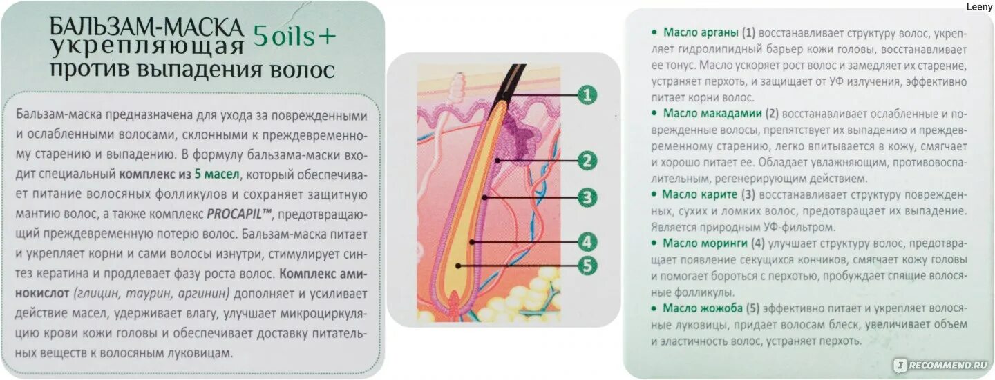 Рецепт против выпадения. Укрепить луковицы волос от выпадения. Средство для укрепления волосяных луковиц. Укрепляет волосяные фолликулы. Средство для укрепления фолликул волос.