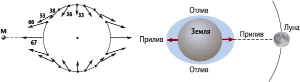 Схема приливов и отливов на земле. Приливы и отливы схема. Приливы и отливы влияние Луны. Приливное ускорение.