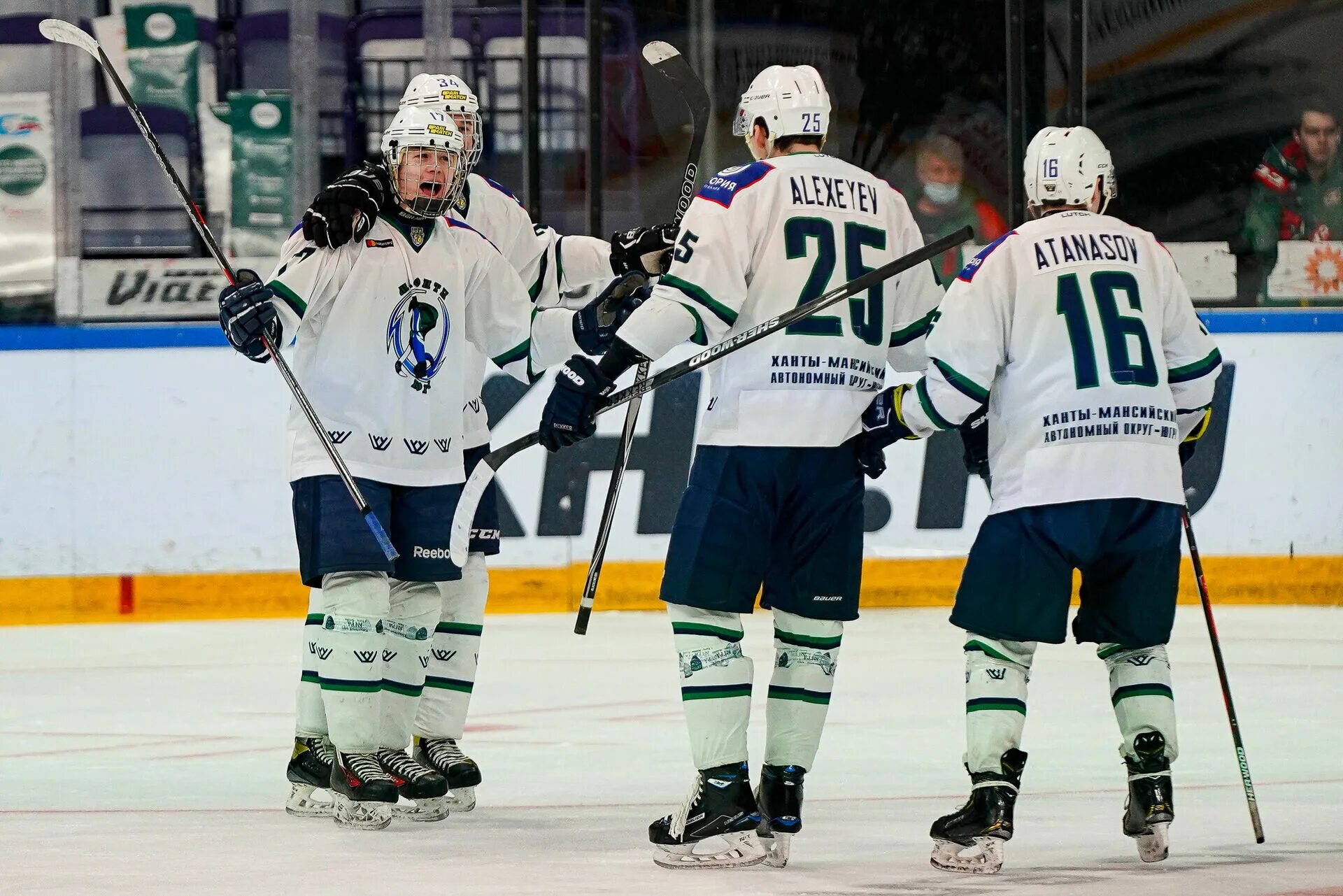 Мамонтов молодежка. Флаг и герб хмао. Герб ханты-мансийского автономного округа - югры. Символы хмао. Ханты-мансийском автономном округе (хмао флаг.