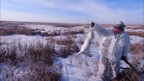Охота на зайца 2024 год