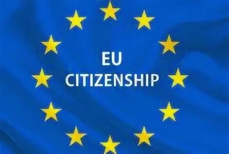 Гражданство европейского союза. Services and the eu citizen. Erasmus. Евроскептицизм. Eu citizens.