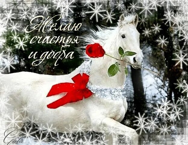 Удачи зимнего