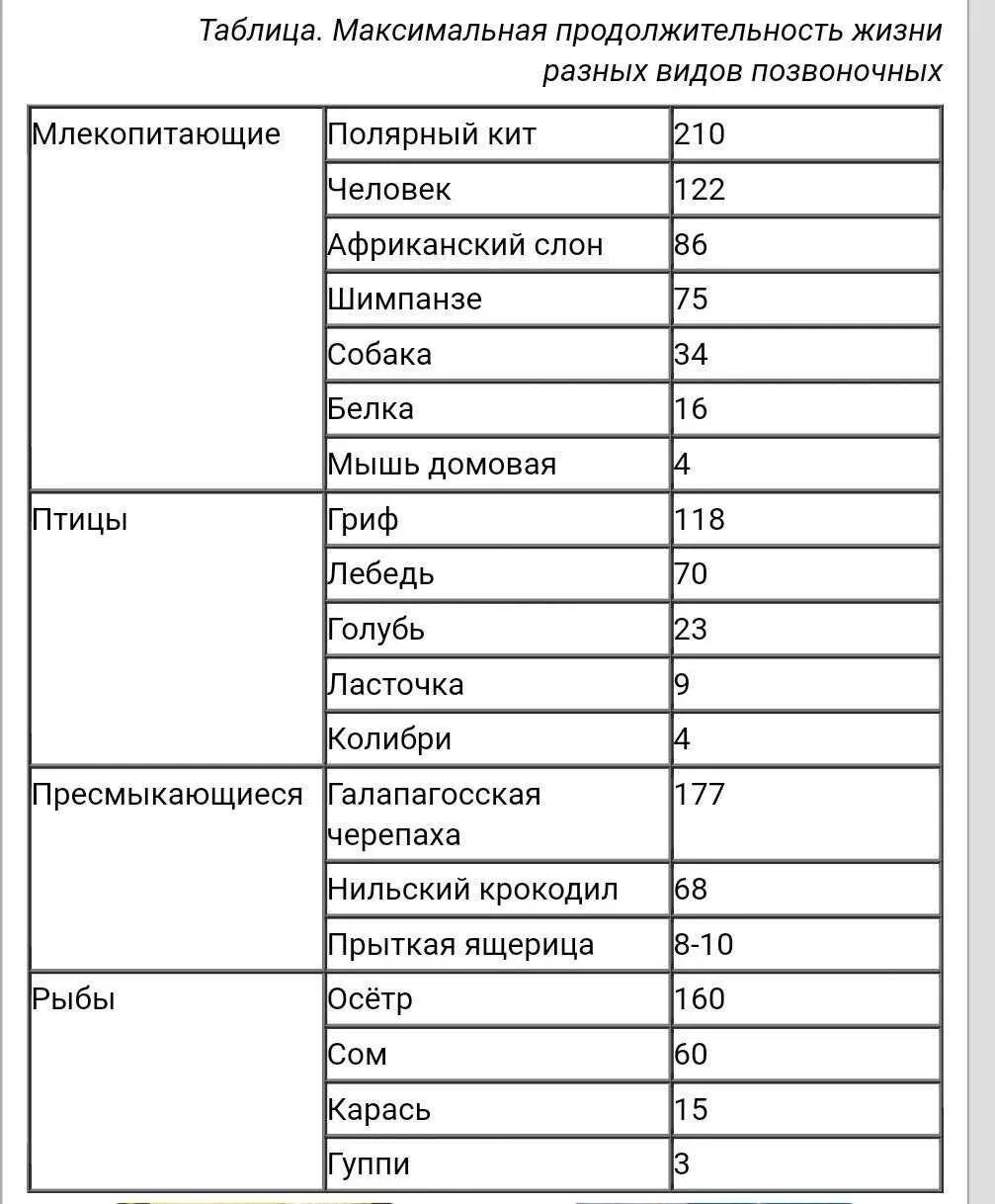 Сколько живут вели. Продолжительность жизни животных 1 класс таблица. Продолжительность жизни животных 1 класс окружающий мир таблица. Продолжительность жизни животных долгожителей таблица. Срок жизни животных таблица 1.