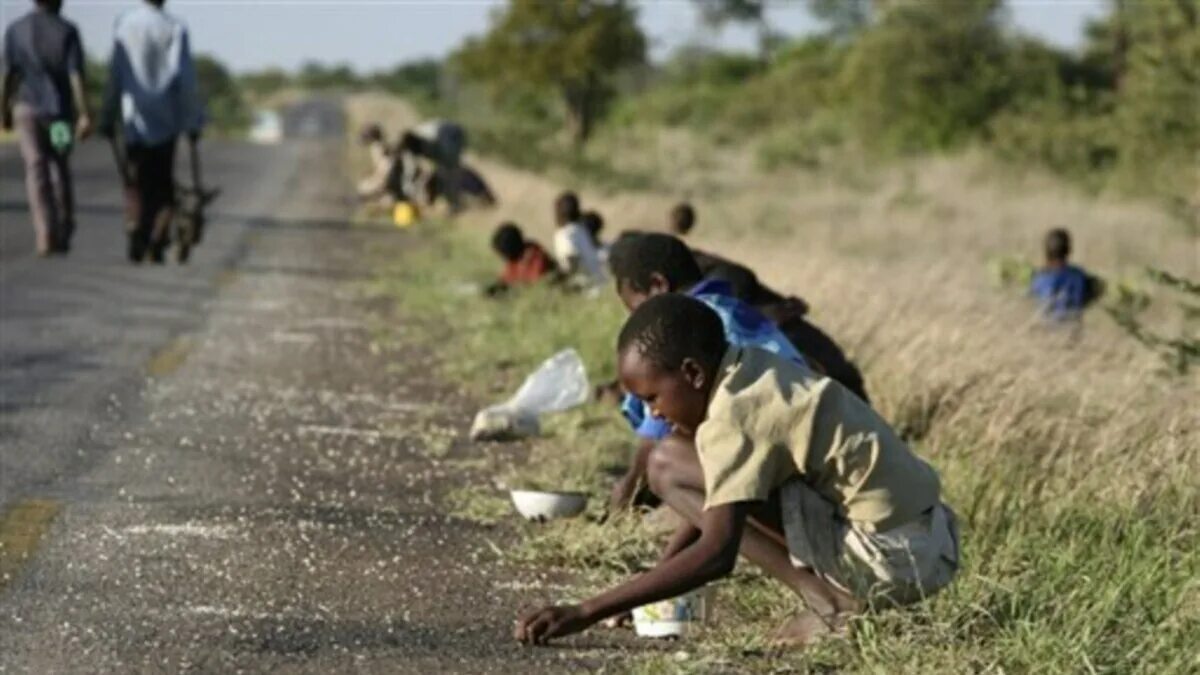 Голод и нищета. Продовольственная проблема картинки. Глобальная проблема голода. Продовольственная ситуация. Глобальная продовольственная проблема.