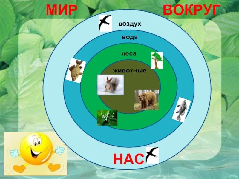 Мир вокруг слушать