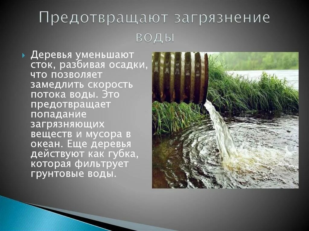 Очистка речной воды. Профилактика загрязнения воды. Загрязнение воды экологическая проблема. Экологическое состояние воды. Презентация на тему загрязнение водоемов.