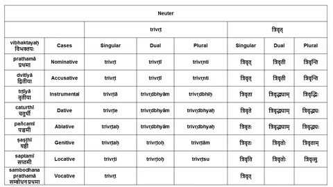 Derivatives of words