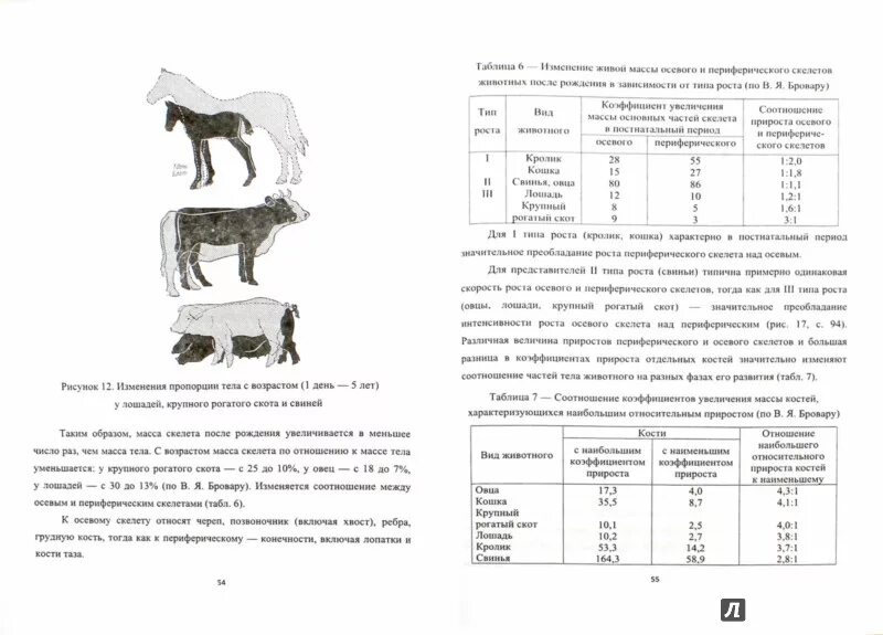 Закономерности роста и развития животных. Закономерности роста и развития животных. Закономерности роста и развития животных. Закономерности роста и развития с\х животных. Общие и основные закономерности.