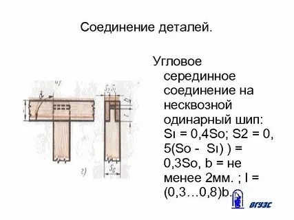 Ус 3 см