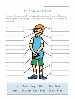 Parts of the body exercises