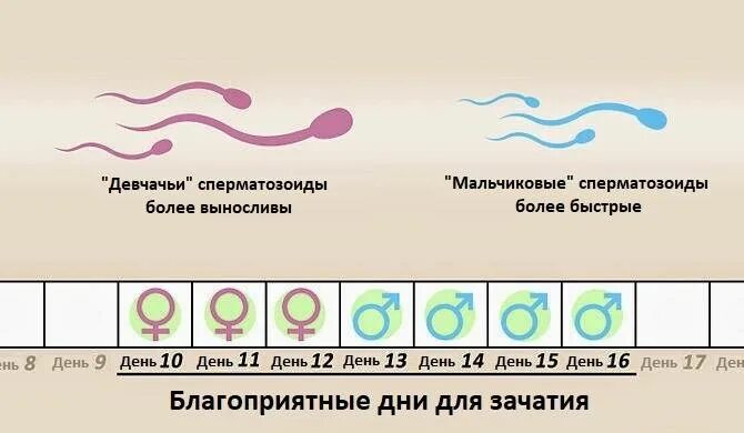 Какими позами можно заниматься сексом при беременности