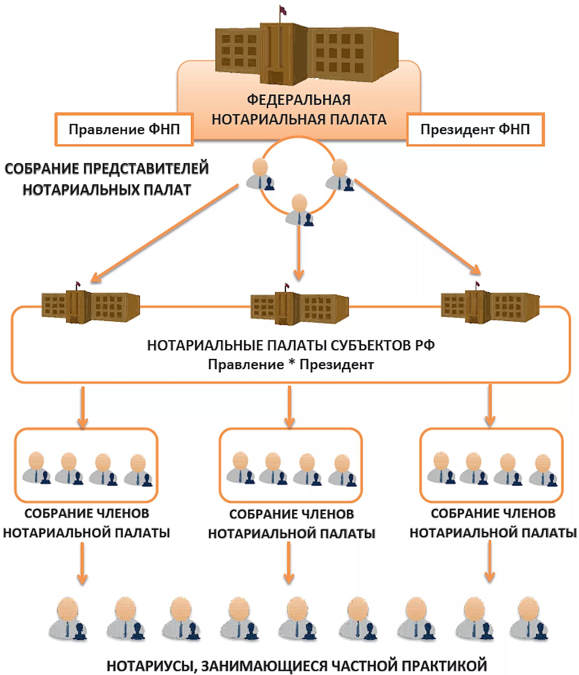 Деятельность нотариусов в рф. Организационная структура нотариальной палаты. Структура Федеральной нотариальной палаты. Структура Федеральной нотариальной палаты схема. Схема органов управления нотариальной палаты.