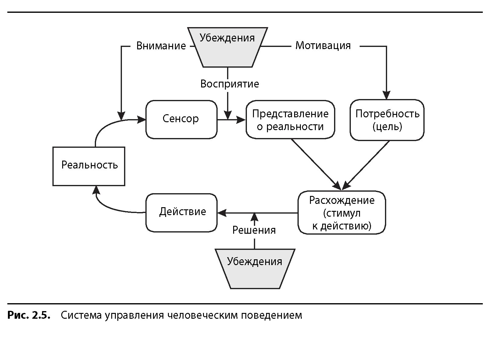 Стимулы и внимание. Стимулы репродуктивного поведения схема 2. Мотивация восприятие. Схемы поведения Графика крипты. Схема поведения Фолькельта.