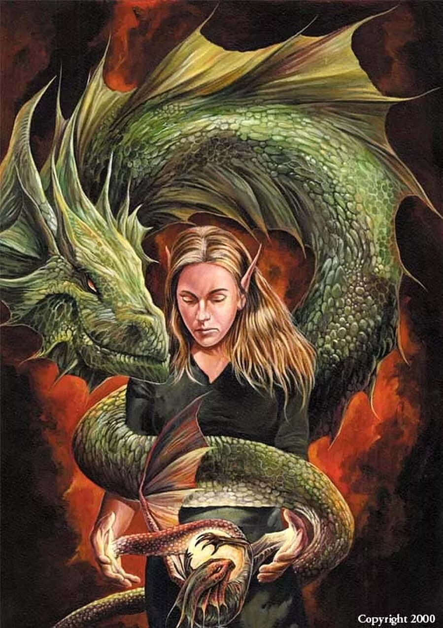 Какой дракон дева. Девушка и дракон. Воительница с драконом. Картина на драконе. Девочка и дракон.