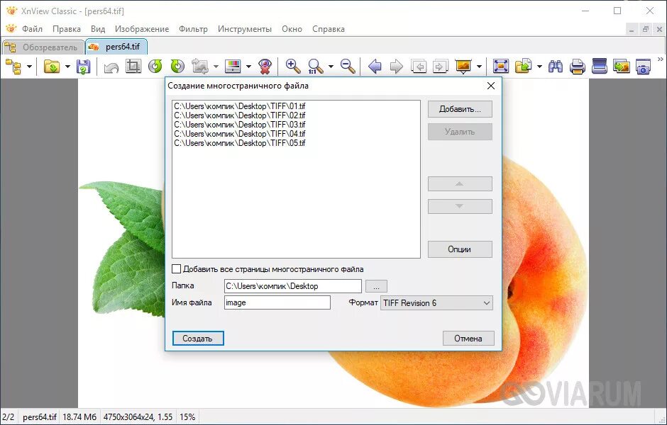 Сделать tiff. Изображения в формате TIFF. Документ формата TIFF. Формат многостраничный TIFF. Тиф Формат файла.