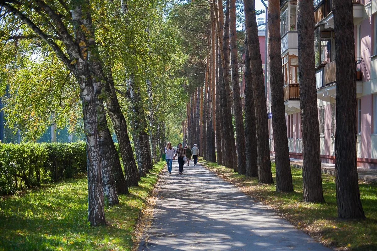 Новосибирский Академгородок морской проспект. Парк в Академгородке Новосибирск. Дом ученых Академгородок.